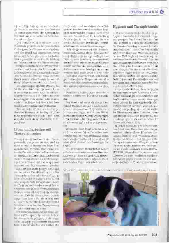Vorschauseite 3: Co-Therapeut Hund