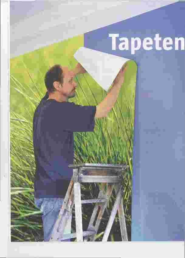 Vorschauseite 1: Tapetenwechsel mit Tücken