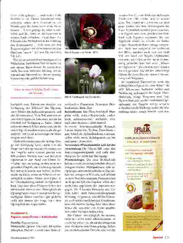 Vorschauseite 4: Phytotherapie im römischen Legionslager