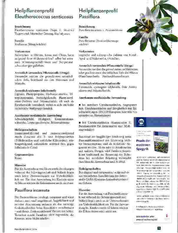 Vorschauseite 2: Pflanzliche Therapieoptionen bei Stress und Burn-out