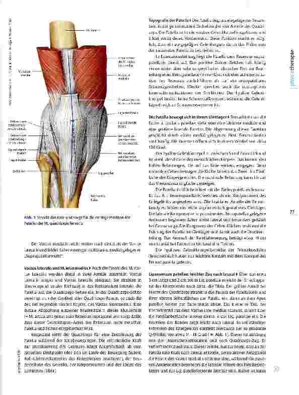 Vorschauseite 2: Funktionelle Anatomie des StreckapparatsVom Druck und Zug an der Patella