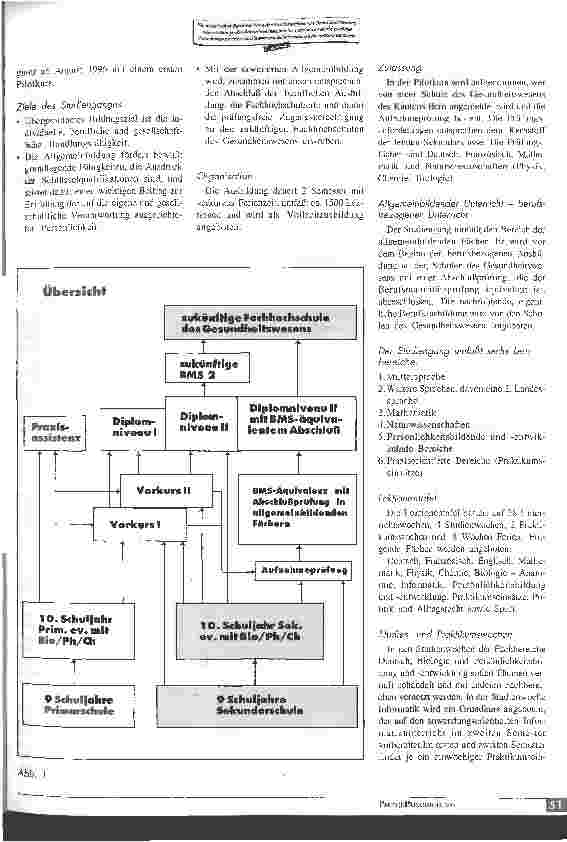 Vorschauseite 2: Berufsmaturitätsäqivalente einjährige Vorbildung auf anspruchsvolle Berufsausbildungen im Gesundheitswesen