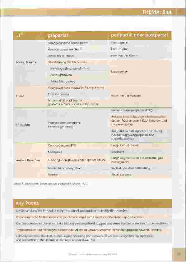 Vorschauseite 2: Der D-A-CH Algorithmus: richtiges Handeln bei postpartaler Blutung