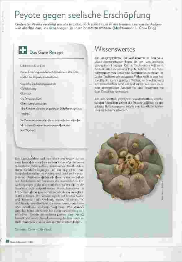 Vorschauseite 1: Peyote gegen seelische Erschöpfung