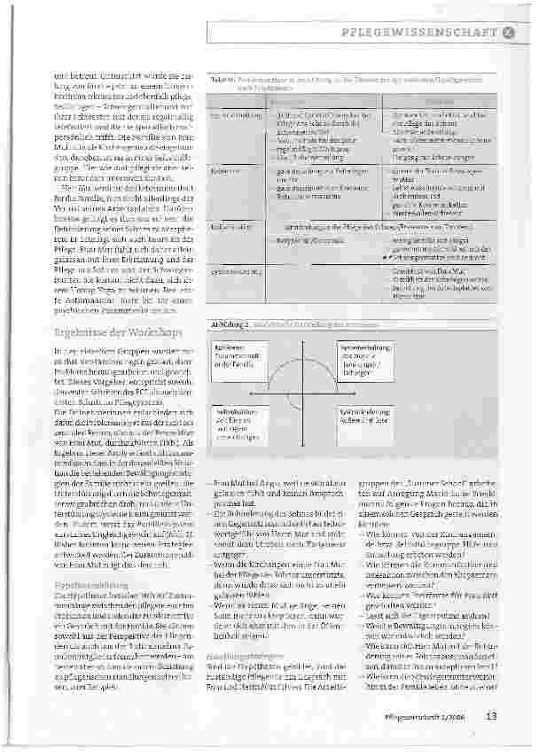 Vorschauseite 3: Familienorientierte Pflege - Theorie-Praxis-Transfer:Ein neues Gleichgewicht finden