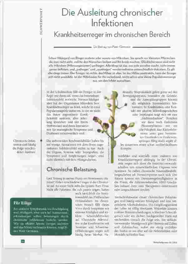 Vorschauseite 1: Die Ausleitung chronischer Infektionen Krankheitserreger im chronischen Bereich