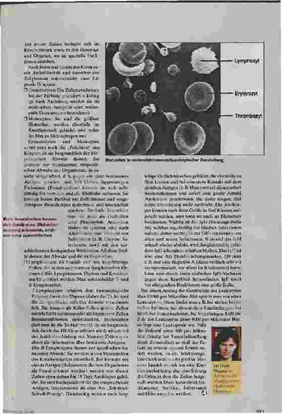Vorschauseite 2: Der Saft des Lebens