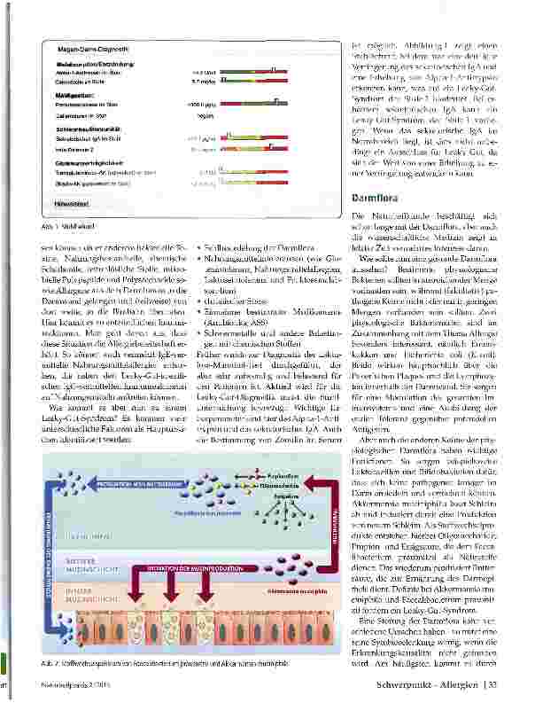 Vorschauseite 2: Allergie und Darm