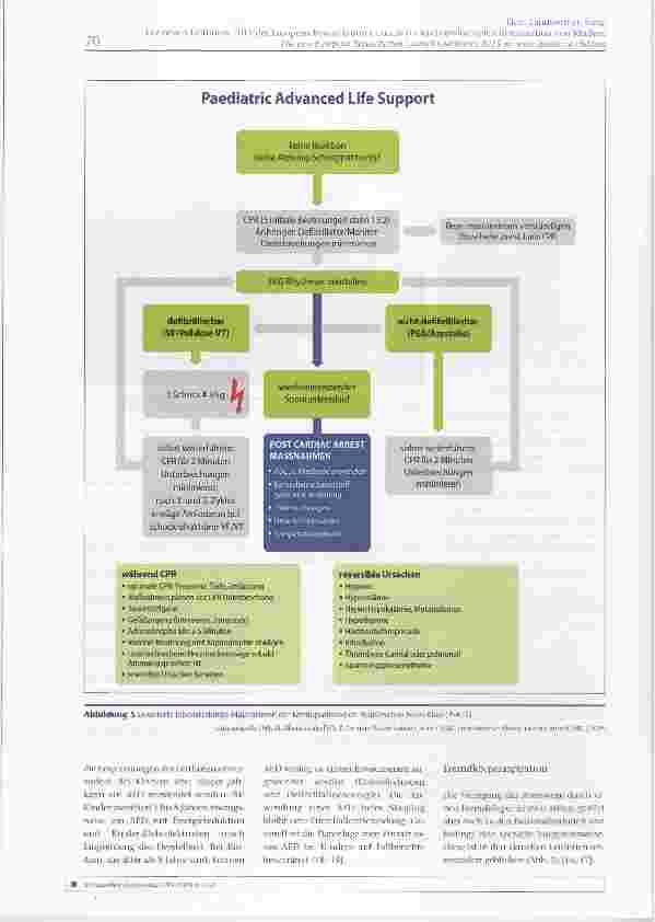 Vorschauseite 5: Die neuen Leitlinien 2015 des European Resuscitation Council zur kardiopulmonalen Reanimation von Kindern