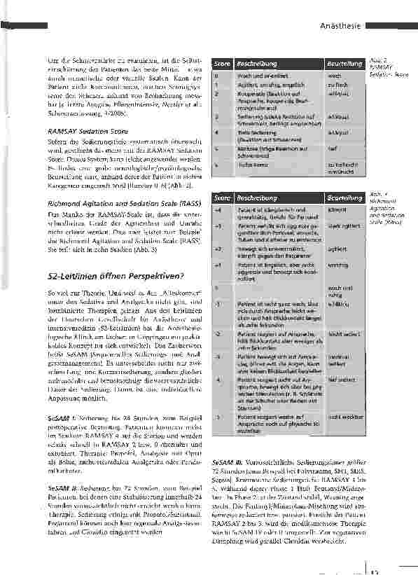 Vorschauseite 3: Sedieren - mit Konzept