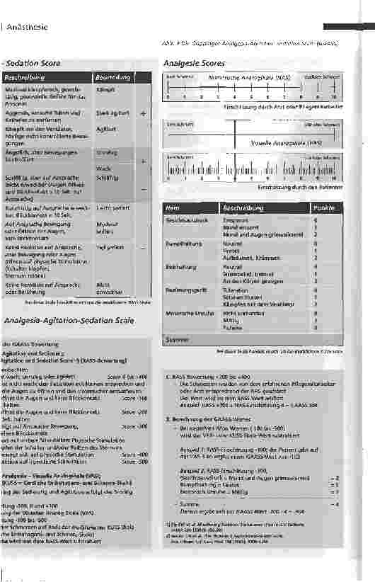 Vorschauseite 4: Sedieren - mit Konzept