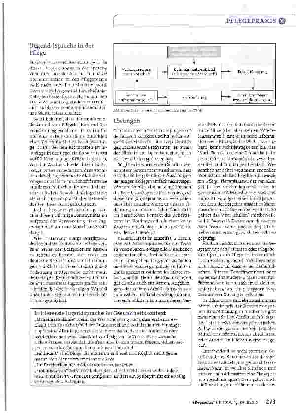 Vorschauseite 2: Jugendsprache in der Pflege