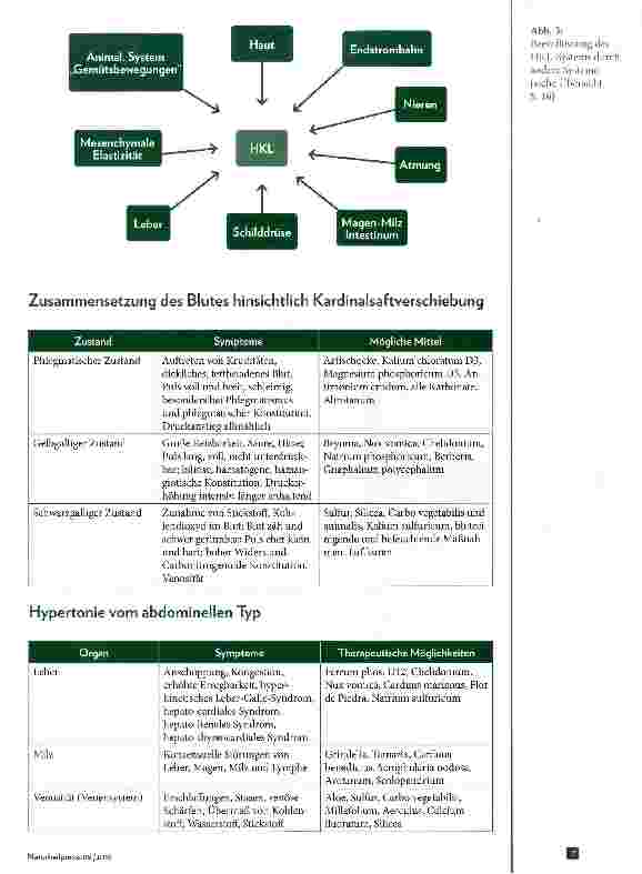 Vorschauseite 4: Hypertonie und naturheilkundliche PathophysiologieTherapeutische Möglichkeiten mit Naturheilmitteln. Ein Abriss.