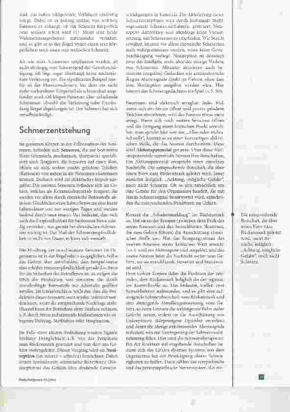Vorschauseite 2: Wenn der Schmerz ein Eigenleben führt Chronische Schmerzen homöopathisch begleiten