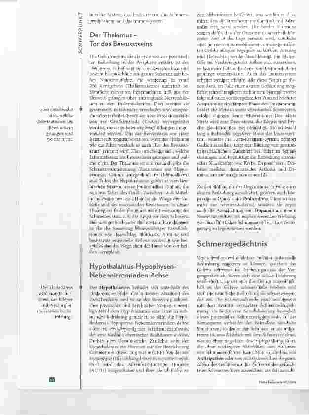 Vorschauseite 3: Wenn der Schmerz ein Eigenleben führt Chronische Schmerzen homöopathisch begleiten