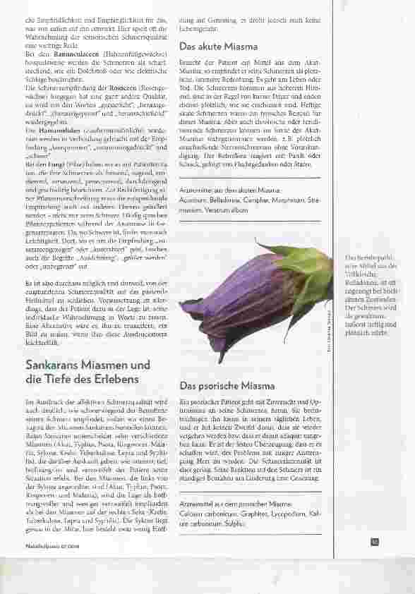 Vorschauseite 6: Wenn der Schmerz ein Eigenleben führt Chronische Schmerzen homöopathisch begleiten