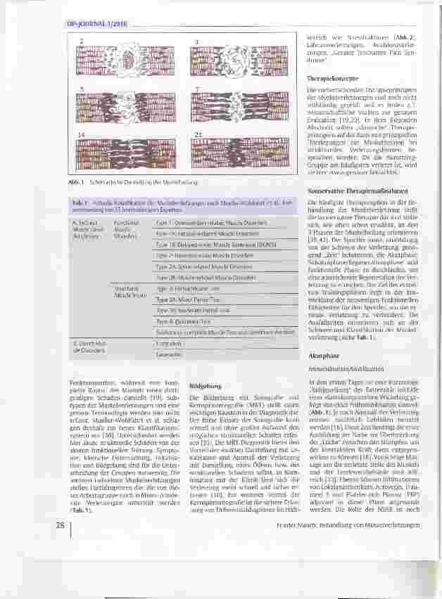 Vorschauseite 2: Behandlung von Muskelverletzungen