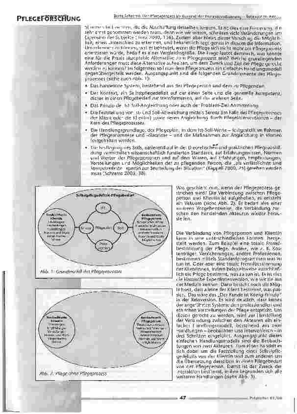 Vorschauseite 4: Der Pflegeprozess im Kontext der Professionalisierung