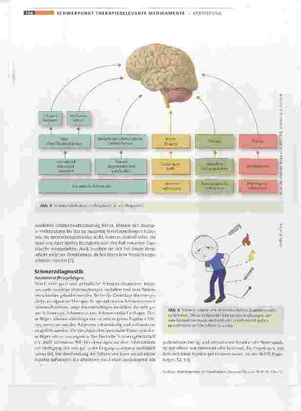 Vorschauseite 3: Medikamentöse Schmerztherapie