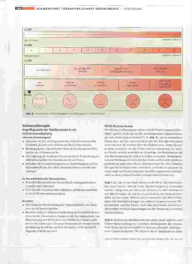 Vorschauseite 5: Medikamentöse Schmerztherapie