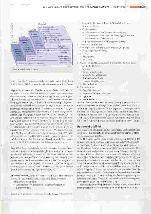 Vorschauseite 6: Medikamentöse Schmerztherapie