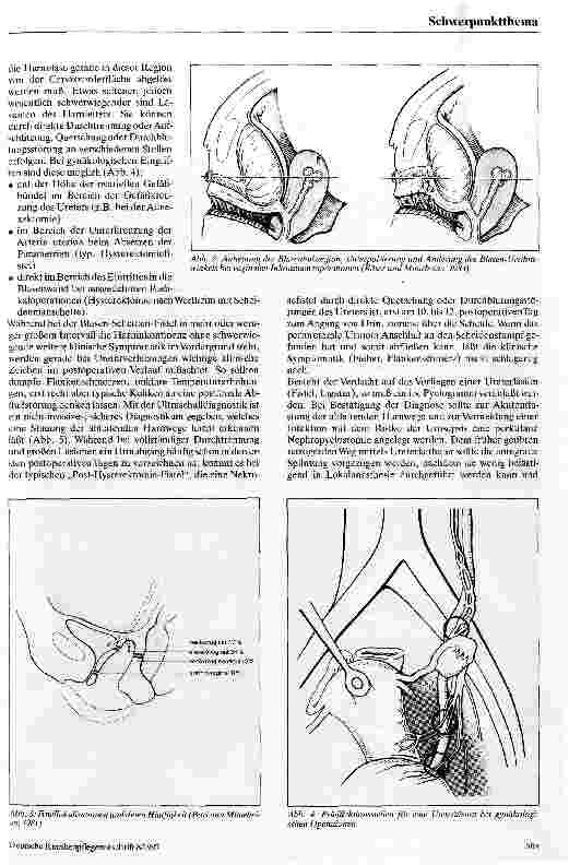 Vorschauseite 2: Gynäkologisch-urologische Probleme der perioperativen Phase