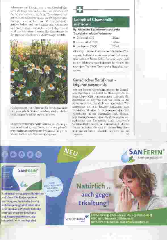 Vorschauseite 4: Korbblütler Hilfe mit homöopathischen Zubereitungen