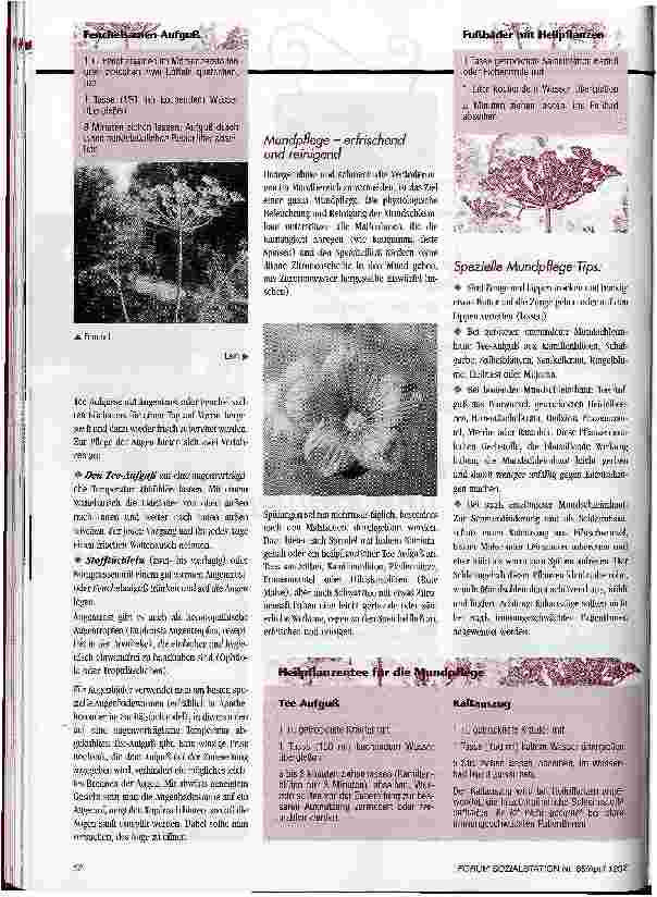 Vorschauseite 2: Heilendes aus Küche und Kräutergarten 3. Teil: Augenpflege, Mundpflege, Fußpflege