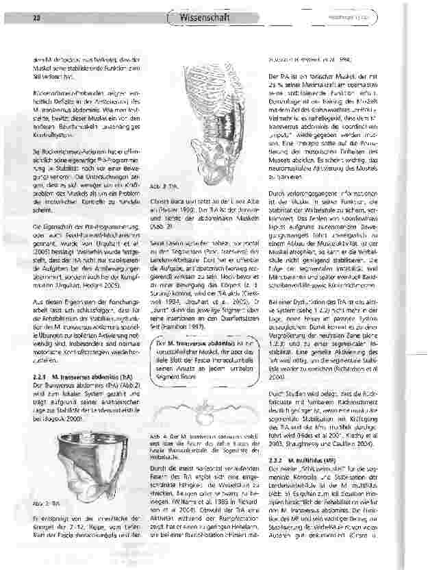 Vorschauseite 4: Die segmentale Stabilisierung der Lendenwirbelsäule - Biomechanik, Wirkungsweise und Training der stabilisierenden Muskulatur