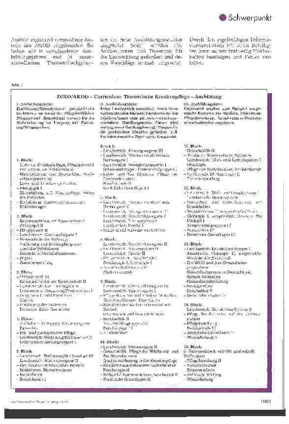 Vorschauseite 4: Curriculum der Krankenpflegeschule an der Ev. Diakonissenanstalt, Bremen, nach AKOD Rückund Ausblick einer erfolgreichen Anwendung