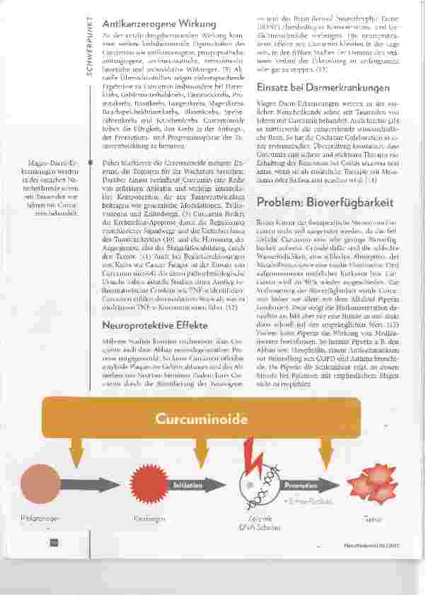 Vorschauseite 2: Curcumin Vielfältige Einsatzmöglichkeiten