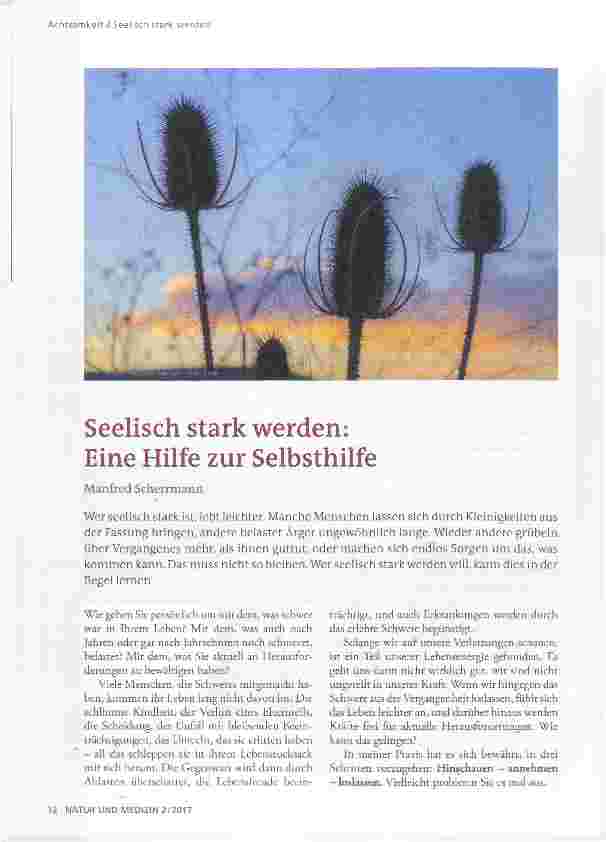 Vorschauseite 1: Seelisch stark werden:Eine Hilfe zur Selbsthilfe