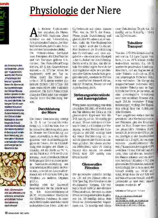 Vorschauseite 1: Physiologie der Niere
