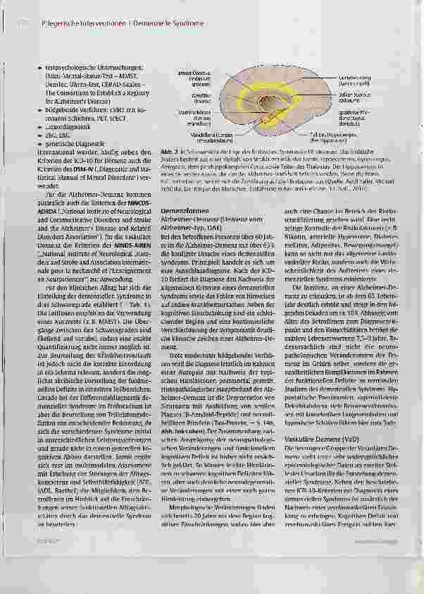 Vorschauseite 3: Demenzielle Syndrome: die Grundlagen