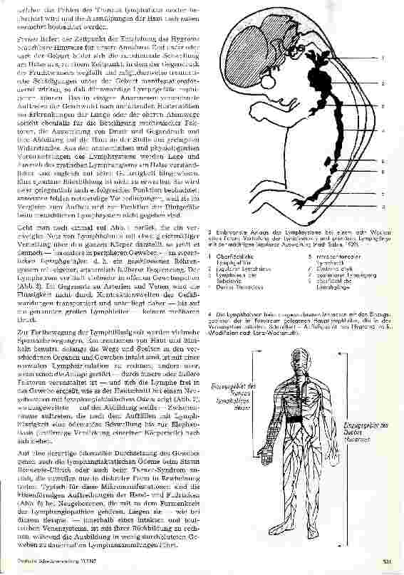 Vorschauseite 3: Das angeborene Hygrom des Halses