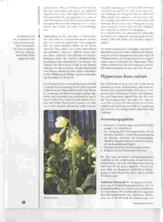 Vorschauseite 3: Die vegetabilisierten Metalle Vegetabilisiertes Gold