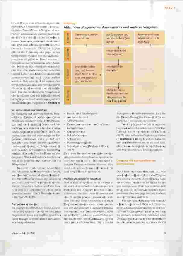 Vorschauseite 2: Pflegerisches Assessment bei Menschen mit Depressionen
