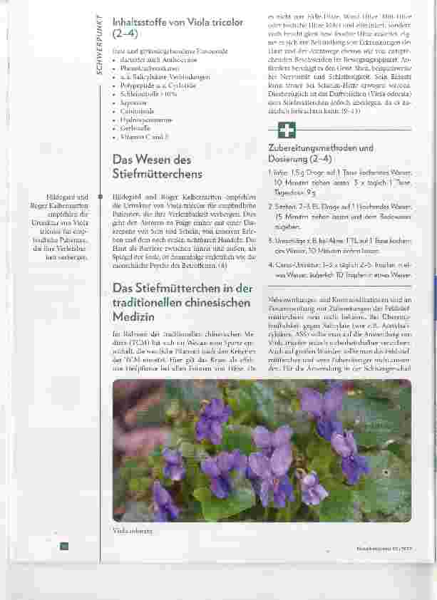 Vorschauseite 3: Das Feldstiefmütterchen