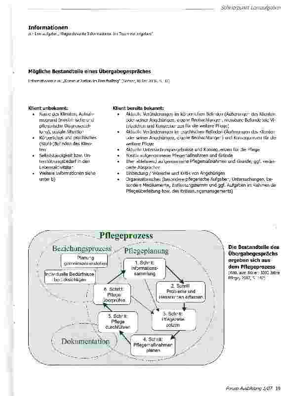 Vorschauseite 3: Pflegerelevante Informationen im Team weitergeben