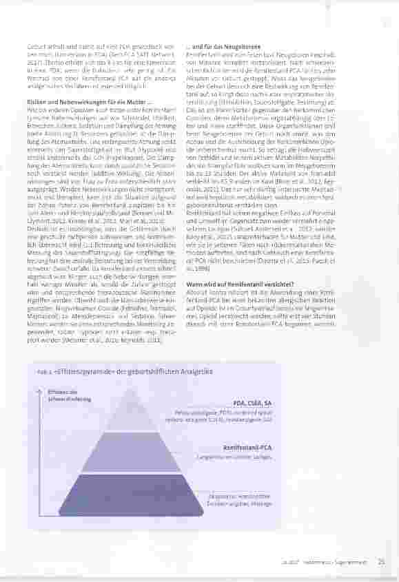Vorschauseite 2: Die Remifentanil-PCA sicher zur Geburt einsetzen