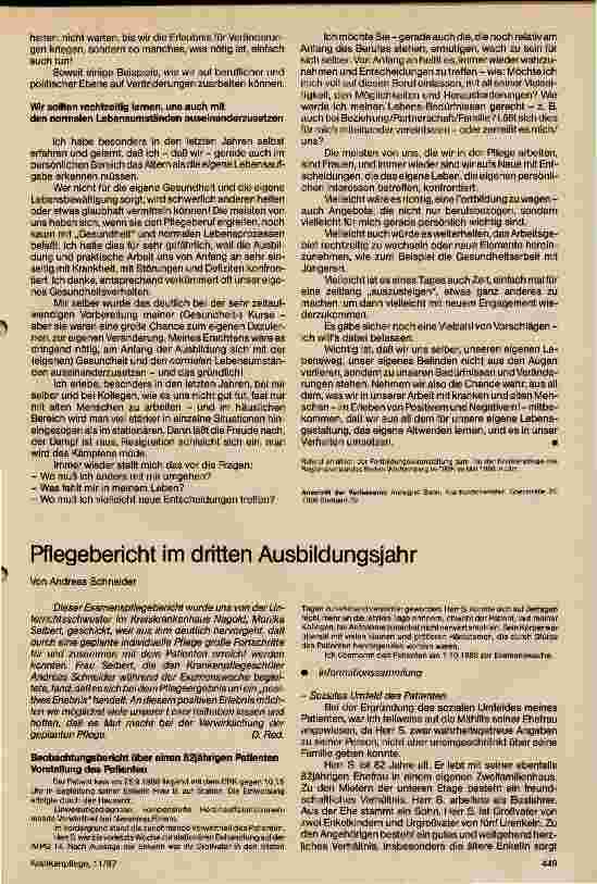 Vorschauseite 1: Pflegebericht im dritten Ausbildungsjahr