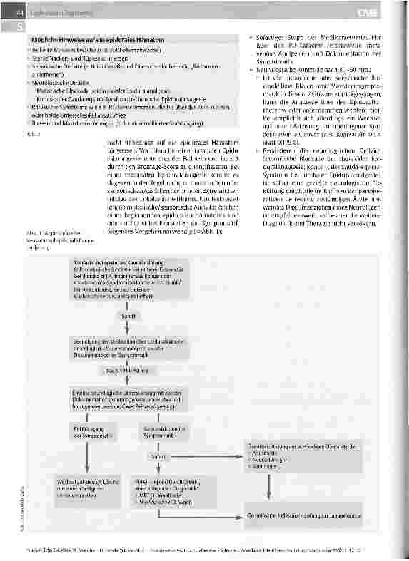 Vorschauseite 3: Postoperative AkutschmerztherapieDie Rolle der Regionalanästhesie