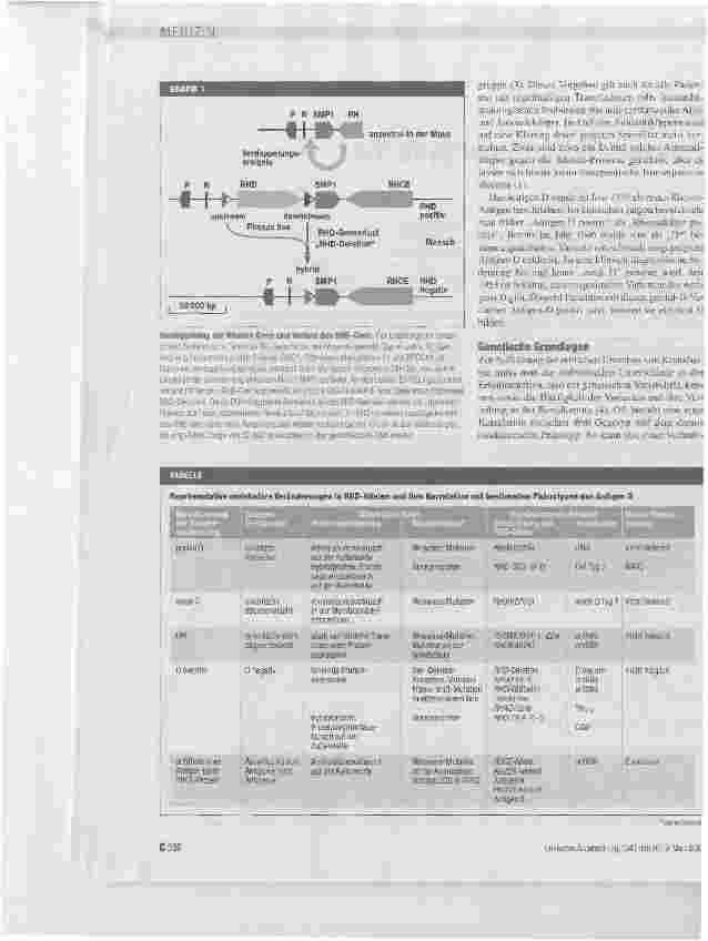 Vorschauseite 2: Genetik des Rhesus-Blutgruppensystems