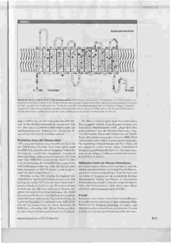 Vorschauseite 3: Genetik des Rhesus-Blutgruppensystems