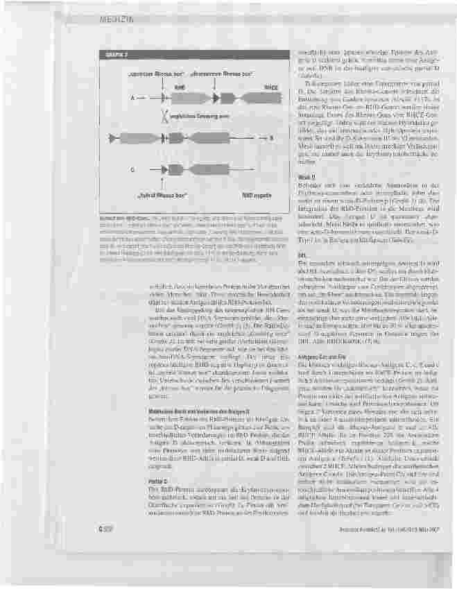 Vorschauseite 4: Genetik des Rhesus-Blutgruppensystems