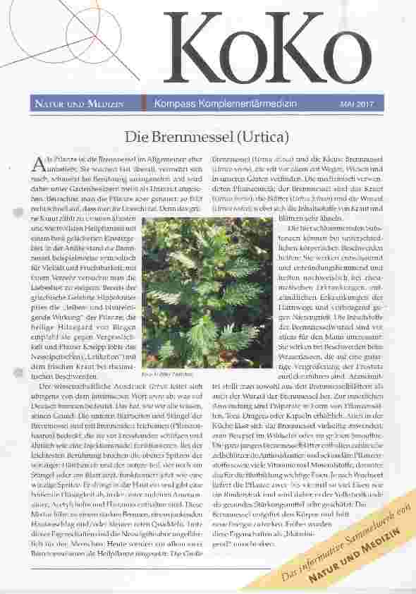 Vorschauseite 1: Die Brennnessel (Urtica)