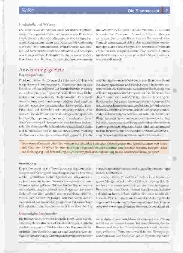 Vorschauseite 2: Die Brennnessel (Urtica)