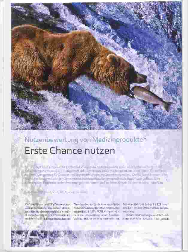 Vorschauseite 1: Erste Chance nutzen