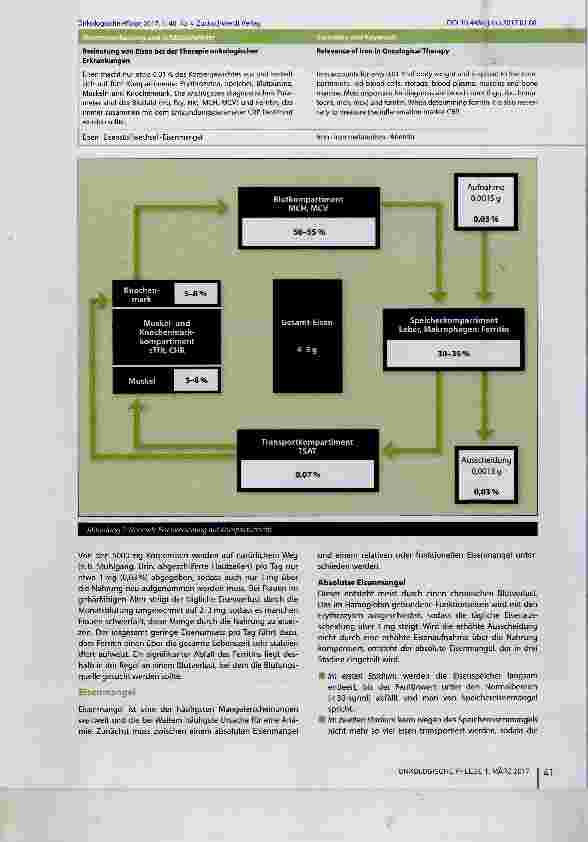 Vorschauseite 2: Bedeutung von Eisen bei der Therapie onkologischer Erkrankungen