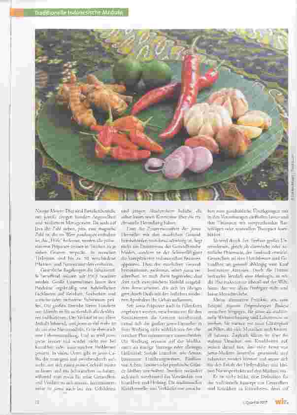Vorschauseite 2: Heilpraktiker, Naturmedizin und das Verständnis von Gesundheit und Krankheit in Indonesien
